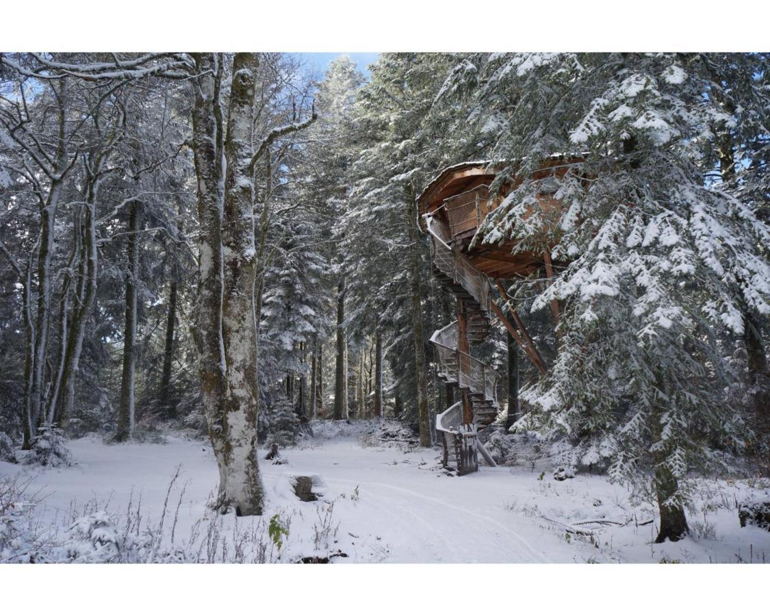 Cabanes Des Volcans La Tour-dʼAuvergne Zewnętrze zdjęcie