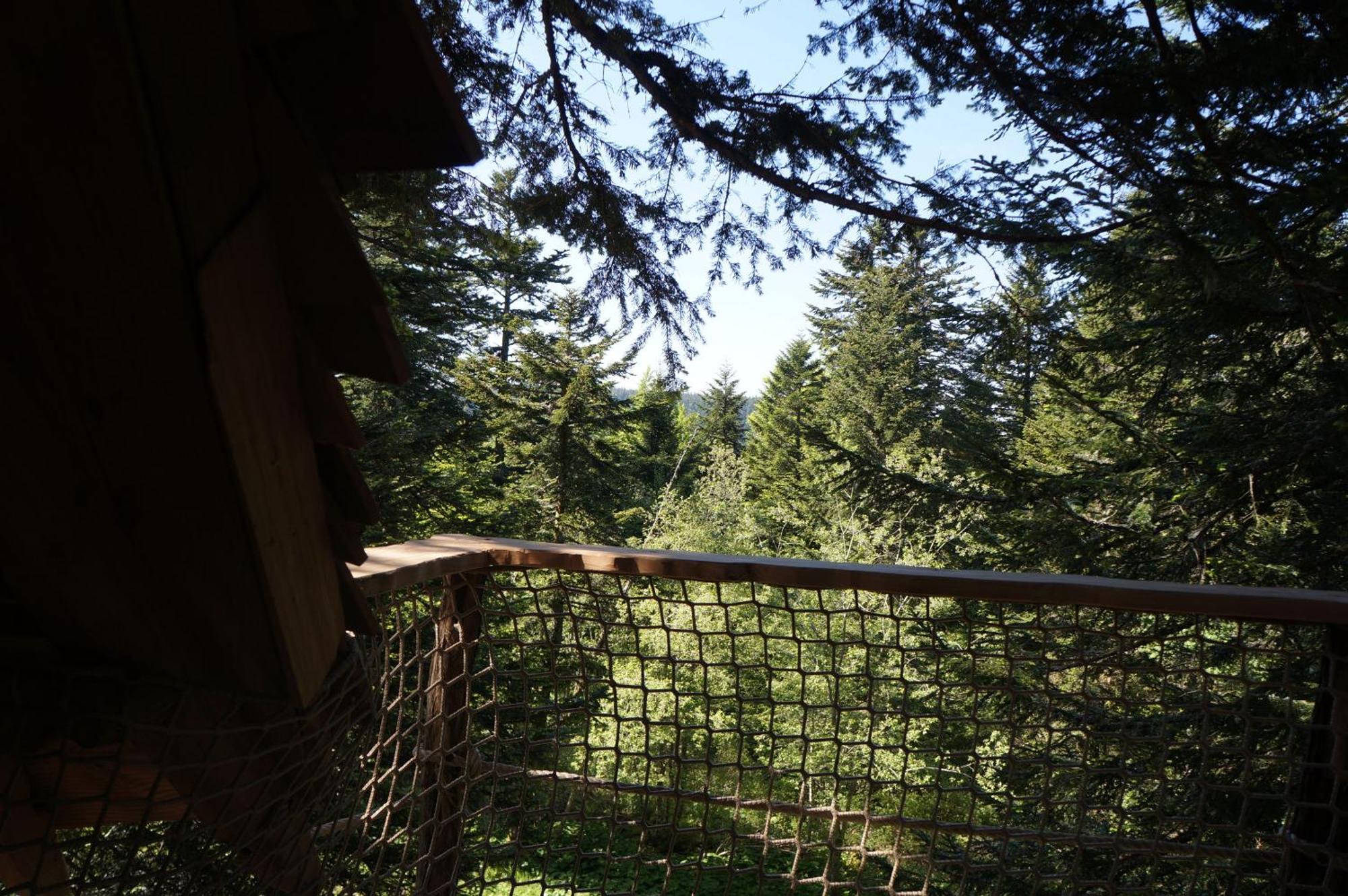 Cabanes Des Volcans La Tour-dʼAuvergne Pokój zdjęcie